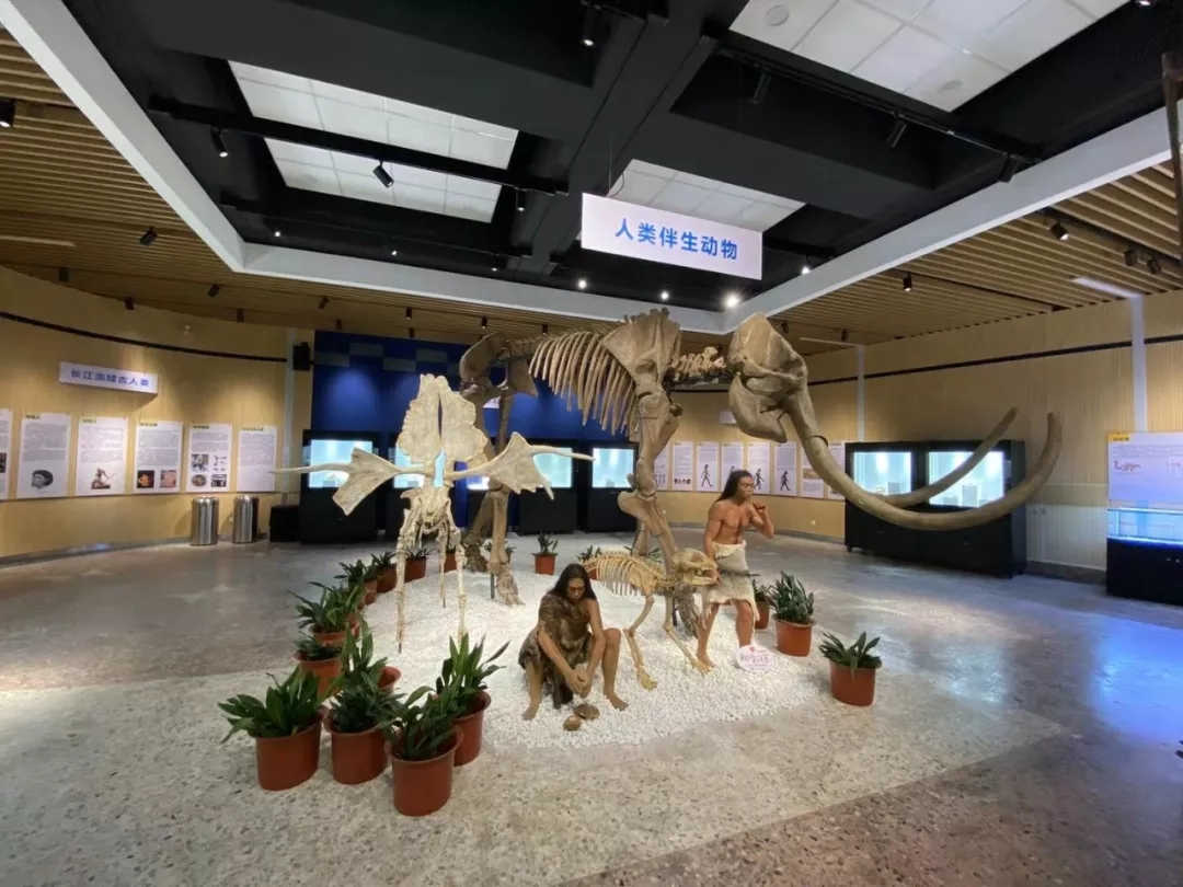 微信图片_20200123142328.jpg