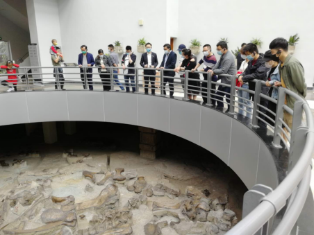 四川省第二批援鄂医疗队一行参观自贡恐龙博物馆(李馆审)305.png 四川省第二批援鄂医疗队一行参观自贡恐龙博物馆(李馆审)305.png