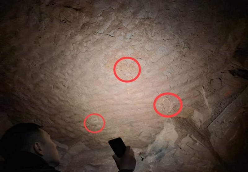 恐龙馆专家赴乐山考察 千佛岩景区足印系白垩纪恐龙足迹586.png 恐龙馆专家赴乐山考察 千佛岩景区足印系白垩纪恐龙足迹586.png