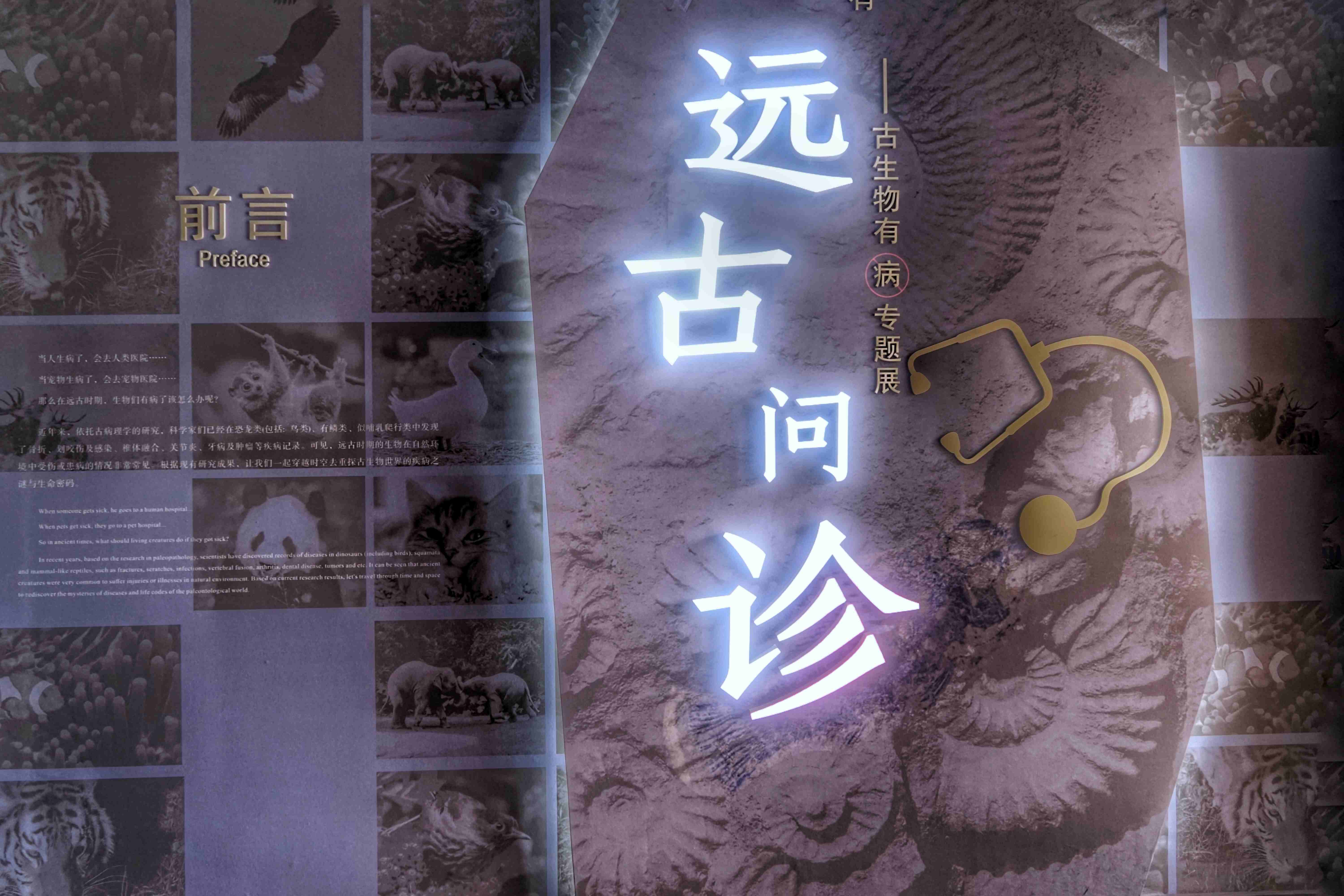 微信图片_20230925194024.jpg