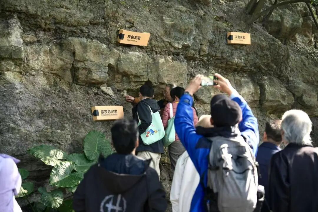 2..jpg